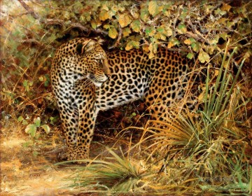 léopard 3 Peinture à l'huile